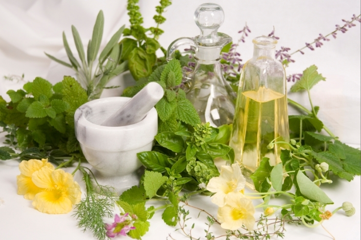 Plant-Based Bioidentical Hormone Therapy (BHRT)-----32