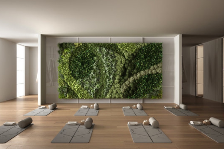 Yoga & Meditation Hall-----32
